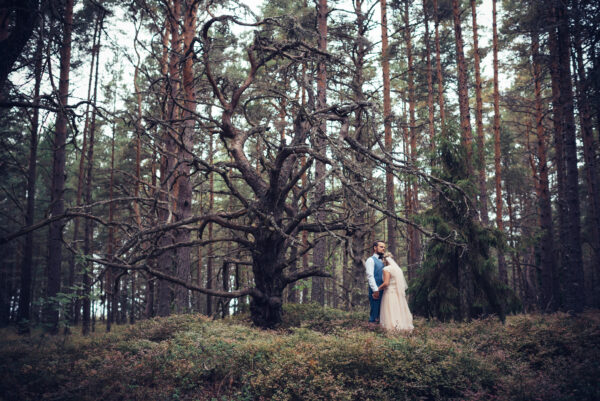 Pulm Hiiumaa metsas