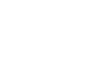 AkzoNobel_logo_01